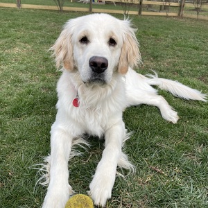 Fundraising Page: Amy Jewsikow